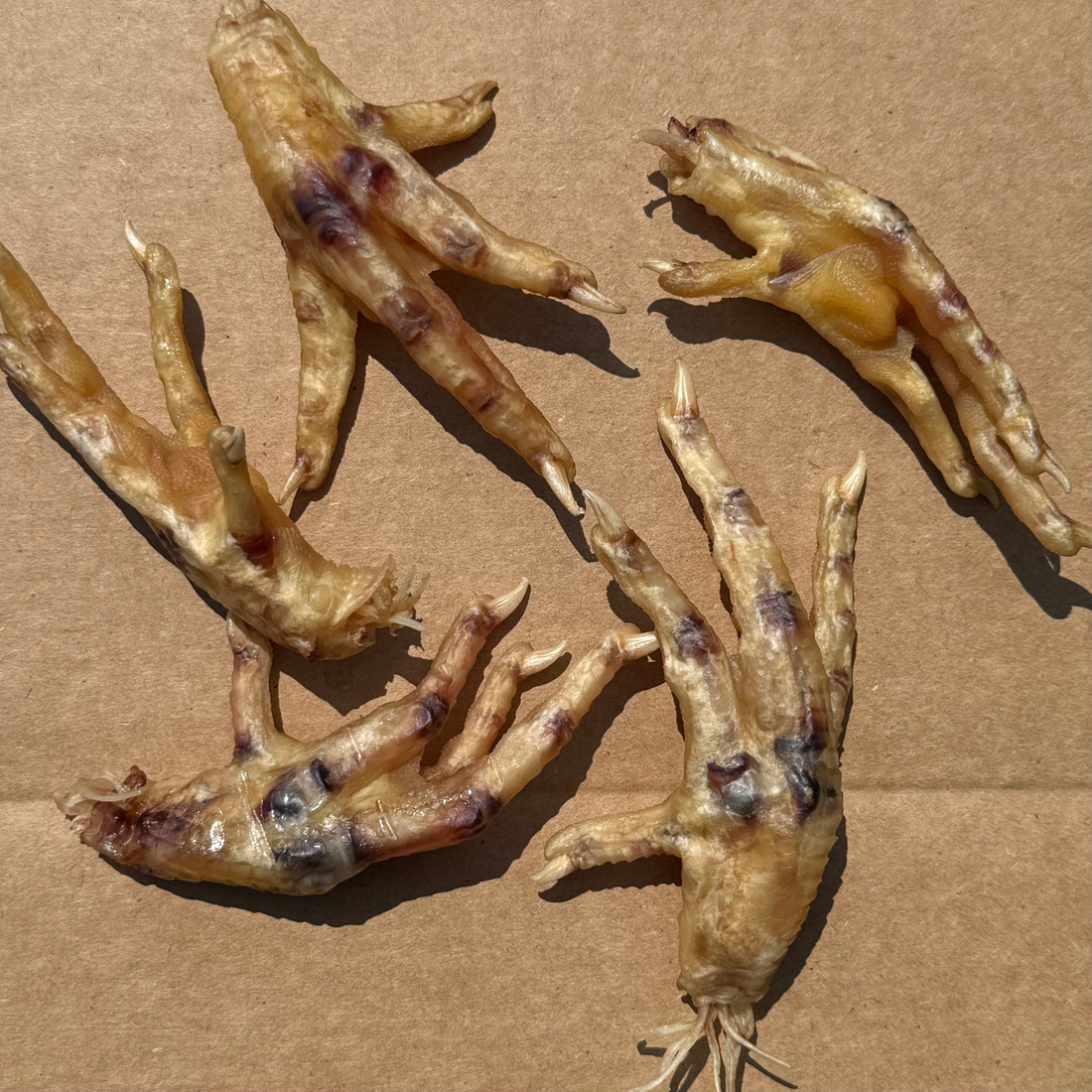 Chicken Feet Dog Treats Made Simple: Single Ingredient Chews