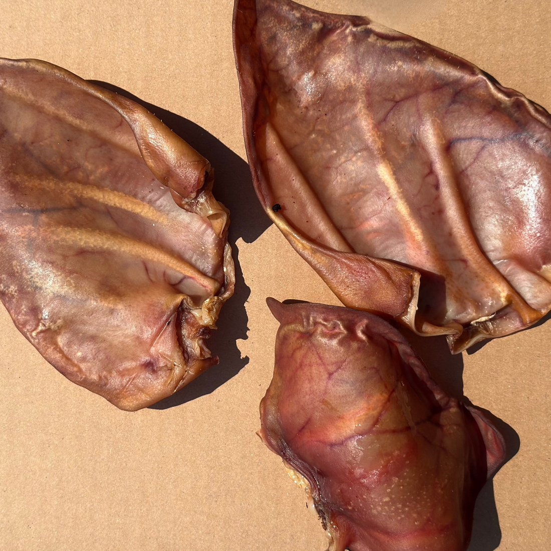Are Pig Ears Good for Dogs? A Single-Ingredient Guide