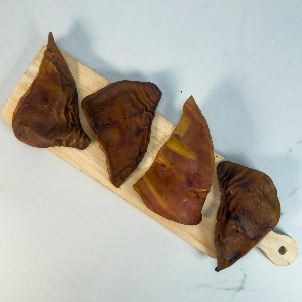 Return To The Wild Bundle